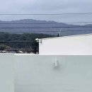 쉬오트애견풀빌라 이미지