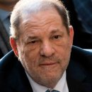 하비시앙 이미지