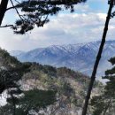 왕산