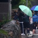 연평초교 이미지