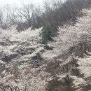 아차산길