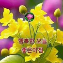 특별한 행복 이미지