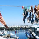 어달항회센터 이미지