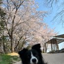 무지개간식 이미지