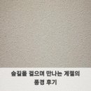 계절의기억 | 숲길을 걸으며 만나는 계절의 풍경 후기