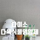 다이소 다육식물영양제 구매후기