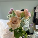 역삼-1209 | 강남 꽃집 풀도해 웨딩 촬영 부케 추천(비마이스튜디오)