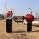 자연의 소리 Ⅱ 이미지