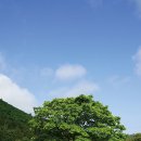 진도우리화원 이미지