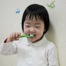 라이온키즈 이미지