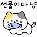 듀오헤어 네이버블로그