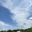 경운목장 이미지