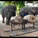 유필학원 이미지