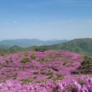 겸백면사무소 | [보성] 초암산(576m) 1시간 25분 최단코스로 등산하다 강제로 유튜브를 찍다. (feat. 1일2산)