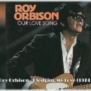 Roy Orbison - Pledging My Love 이미지
