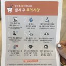 부평나우치과의원 네이버블로그