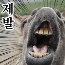 으뜸카프라자 | 2025年 11月