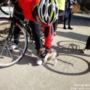 옥룡 파출소 이미지