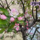 이뿌다 - 완도군 노화로 840-1 | 이뿌다