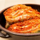 참맛톡톡