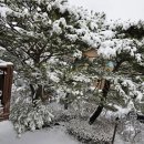 푸르메마을길 이미지