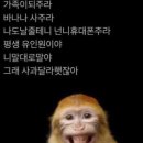 여헌로-11 이미지
