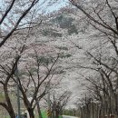 마이산꽃펜션 이미지