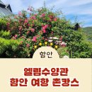 엘림교회 | 함안 여항 촌캉스 전원주택 엘림수양관,넓은 대강당에 비밀정원까지 품은 함안 여항면 엘림수양관