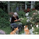 타샤의정원 이미지