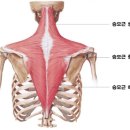 바디팰리스짐 이미지
