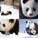 이미숙농장 이미지