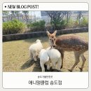 주주실내낚시클럽 | 애니멀클럽 송도점 동물먹이주기 키즈카페 아이랑 실내동물원