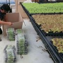 이훈농장 이미지