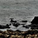 나래목장 이미지