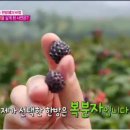 리우한의원 네이버블로그