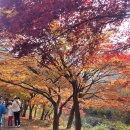 내장산국립공원화장실(우화정옆) | [정읍/내장산국립공원] 단풍 끝물이지만 놓치지 않기! ㅎㅎ