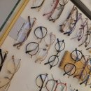 수안경콘택트 이미지