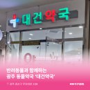 대건약국 네이버블로그