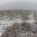 철탑 농장 이미지