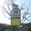 웅천농협주유소 이미지