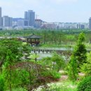 한밭수목원 이미지