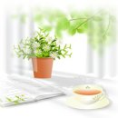 둔유2로 이미지