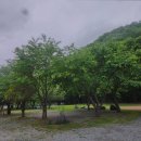 씨밀레자연관광농원 | 용인 캠핑장 씨밀레자연관광농원 가성비 최고의 캠핑장