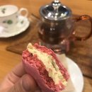 지니돌스 이미지