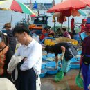 노스텔지아 이미지