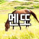 제주해나루 | 제주 반달살기 숙소 후기 - 서귀포 해나루 민박