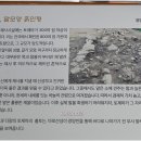 순천대학교박물관 이미지