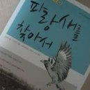 이다 이미지