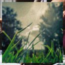 용화 농장 이미지