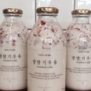연남로13길 1 네이버블로그